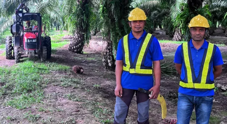 A photo of two Malaysian men in hard hats and high-vis clothing, standing by a tractor underneath palm trees.