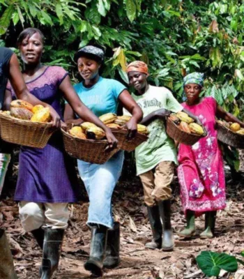 Group of female African farmers walking through a forest carrying baskets of produce