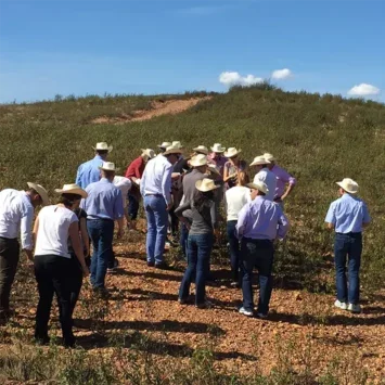 A group of people in stetson hats walking up a grassy hill