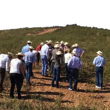 A group of people in stetson hats walking up a grassy hill
