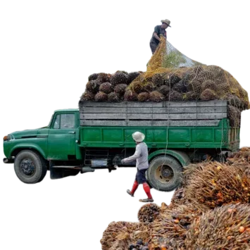 Two men loading fruit on to a truck