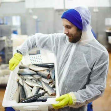 Photo of a man holding a crate of fresh fish