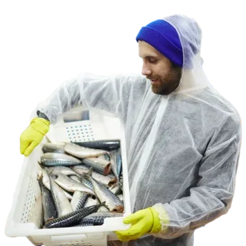 Photo of a man holding a crate of fresh fish