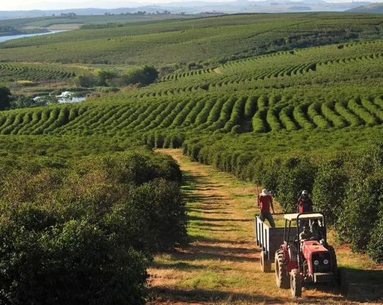 Farm workers riding in a tractor in a vast field