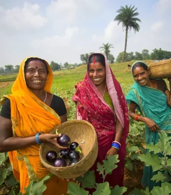 Group of three smiling South Asian women in saris stood in a field, holding baskets of freshly picked aubergines