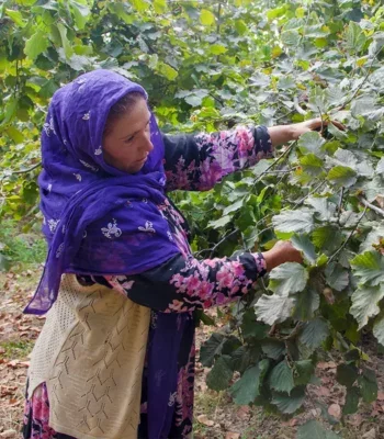 Female farm worker inspecting crops