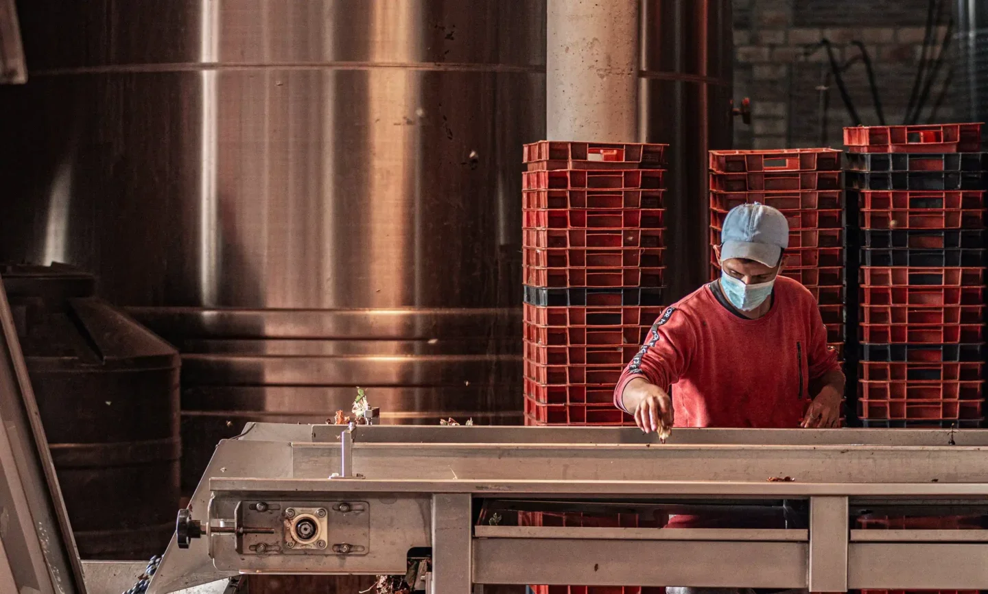 Man working in a factory, stood at a conveyor belt.